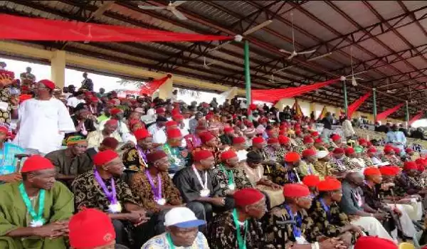 We are in search of credible Igbo political leaders – Ohaneze vice-president